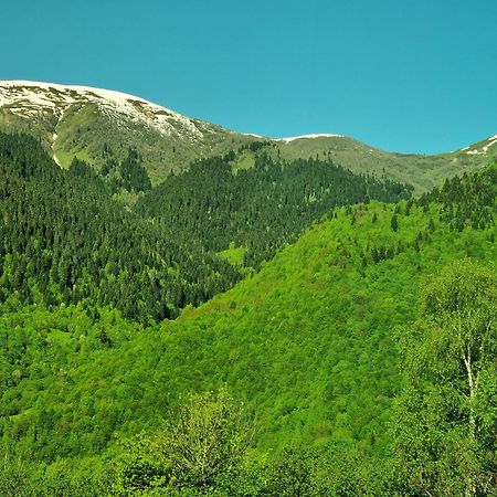 Peak Mazeri Guest House 部屋 写真