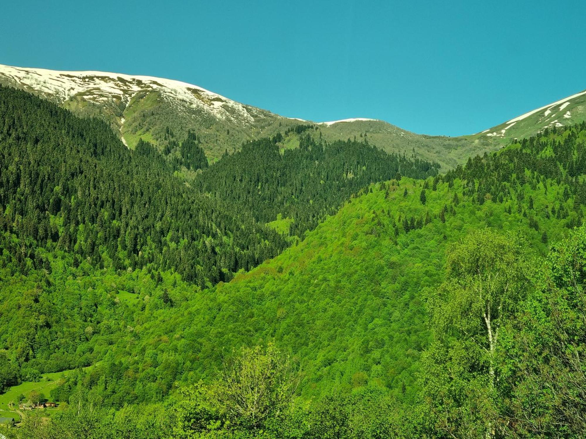 Peak Mazeri Guest House 部屋 写真